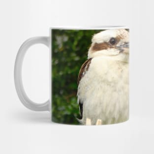 Kookaburra on the Line! Mug